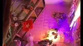 معتدل البنيه الهرة الكبيرة قديم ويونغ