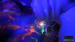 سيطرة الشيميل في مصارعة جماعية جامحة