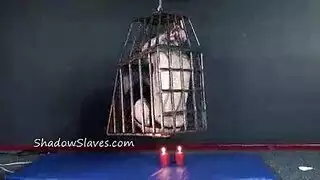 قاسي ومستعد: مسيطرون كبار يدربون عبيدهم الراغبين