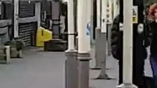 مراهقون ثملون يمارسون الجنس على العشب