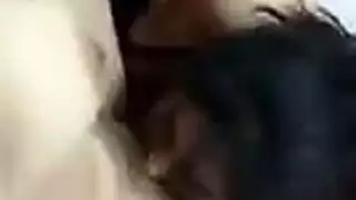 مثليات صفار