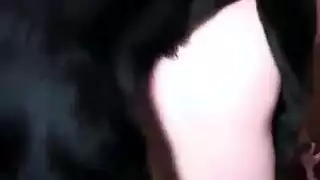 ١ وضع الكلب المثير مع فتاة صغيرة حلوة
