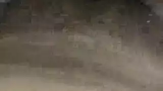 فحل الأبنوس ينكح في شبكة صيد غابة نهاراً بإثارة شديدة