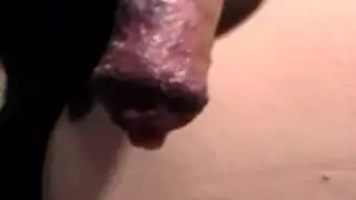 كلب ينيك رجل فى خرم طيزه