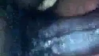 رسوم متحركة قاسية: جنس مسيطر ومواجهات خشنة