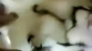 الاحدث مصرى طياز