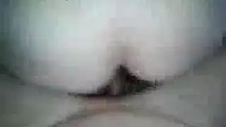 سكس لواط معا شيمل