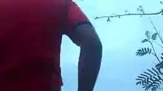 غابة يختبر 10 بوصة الديك