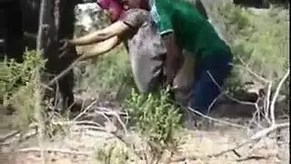 ٢ شريط جنسي للزوجين النشطين في الخارج – سر الكاميرا الخفية