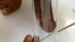 سكس جنوب افريقيا منبثق فيديو قصير بورن