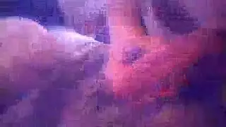 الخام الجنس الشرجي قاعة الدراسة ضيق الهرة