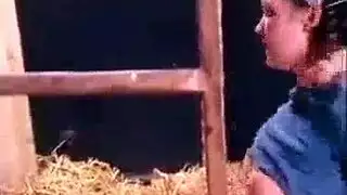 حمار المزرعة