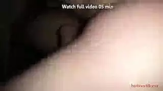 الحمار الكبير مكتب لعبة ضخمة