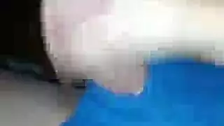 عاهرات المكتب الشهوانيات تمص القضيب وتتناك على المكتب