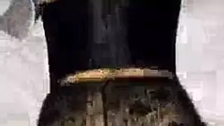 هولندي خداع صينى