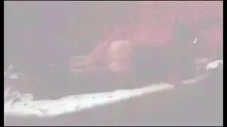 كلبة مسيطرة تذل رجلاً مطيعاً في مشهد إكس إكس إكس