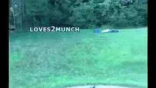 سارة تصل لمشهد نيك مزدوج قاسي