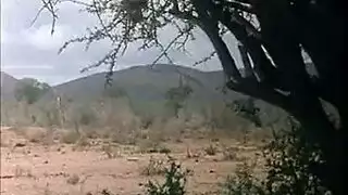 مهرجان جنس ثلاثي صريح مع النجم الإيطالي روزا كارسكلو