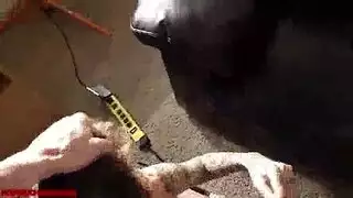 نيك مسيطر: هو يلحسها ثم هي تخدم زبه