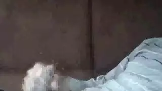 السيد و الخادمه