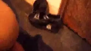 فتشيا جلد عاري محلوق ومندخل