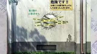 رسوم متحركة لوطء البهائم: راكون يمارس الجنس الفموي على أنثى مقنعة