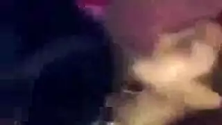 بيرو البريء طبي