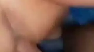 مايكل ستيفانو