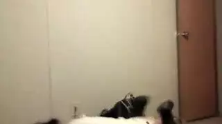 تجميعة لمشاهد جماع وقذف متحركة